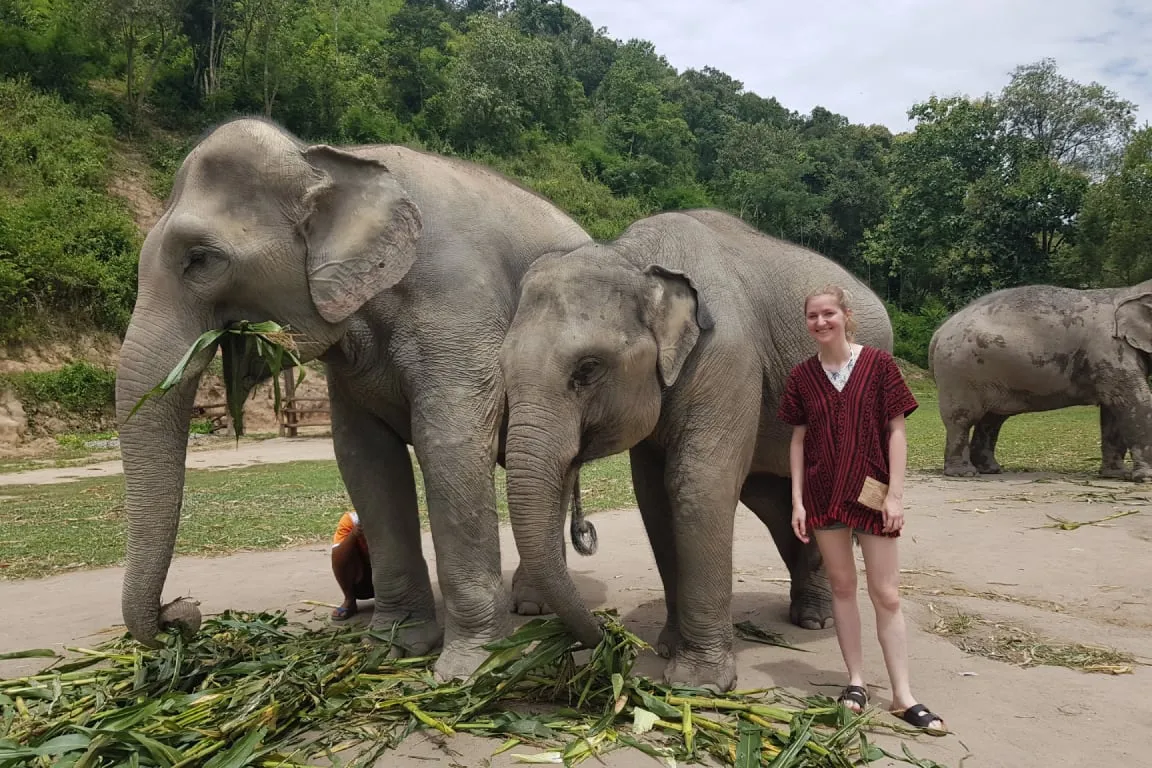 Elephant Jungle Sanctuary Pattaya