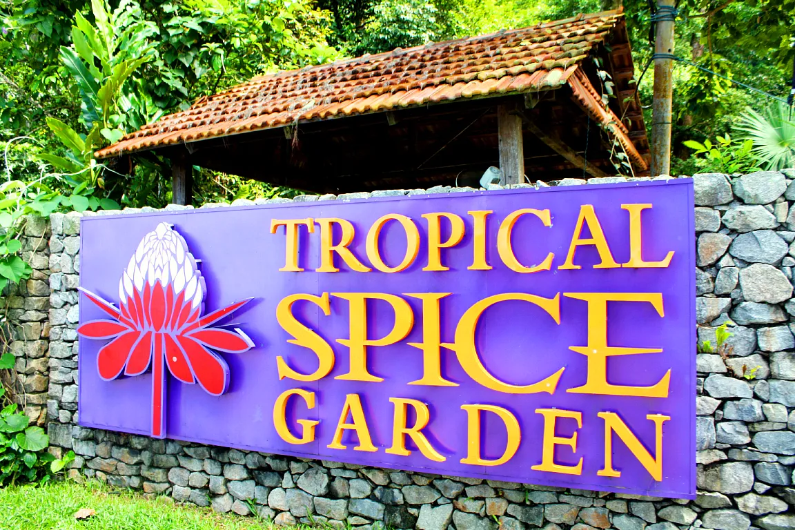 Cooking Class at Tropical Spice Garden