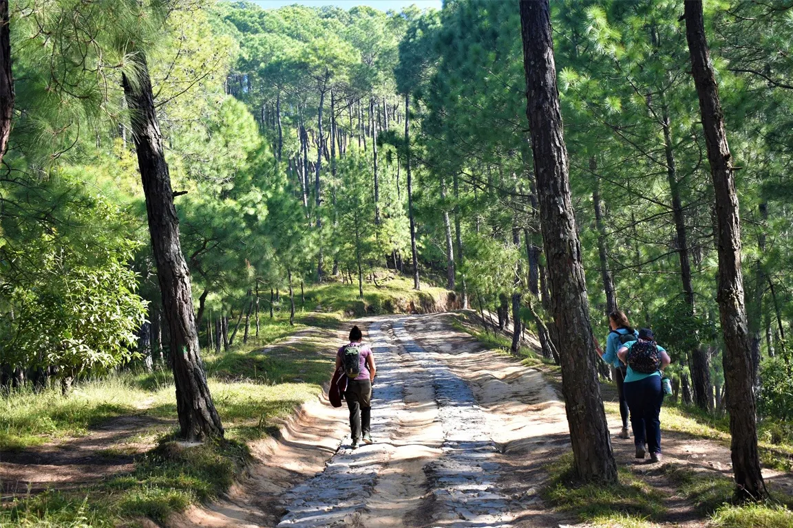 Chandragiri Hattiban Day Trek with Cable Car Experience