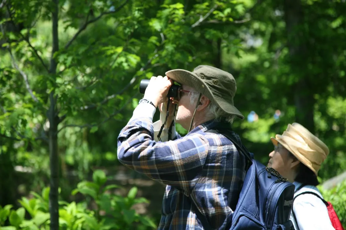 Langkawi Birdwatching Experience with Round Trip Transfer