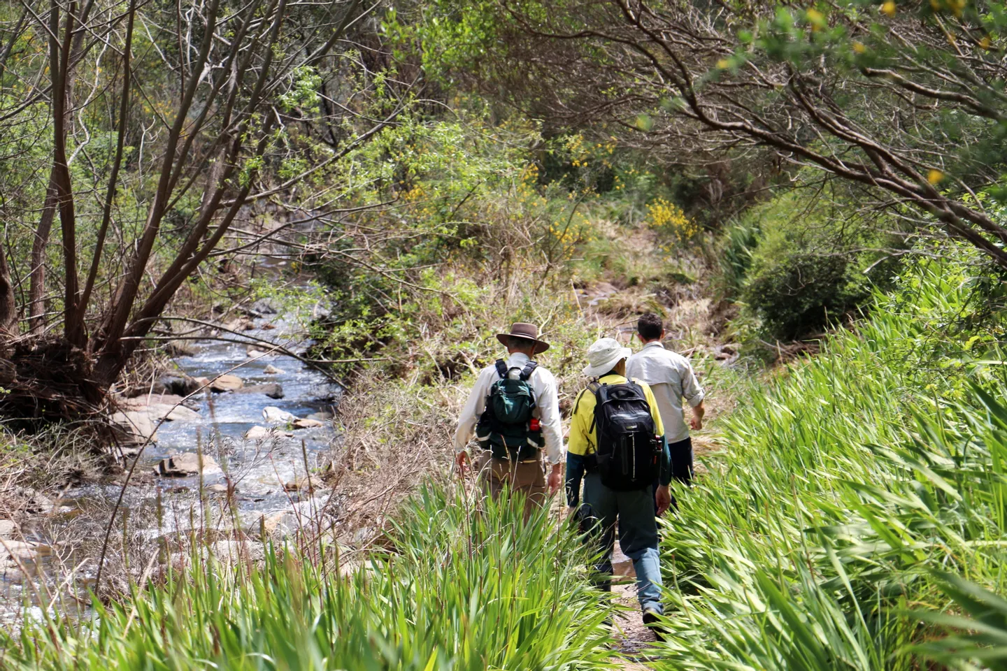 Morialta Wilderness and Wildlife Hike in Adelaide 3 Morialta Wilderness and Wildlife Hike in Adelaide