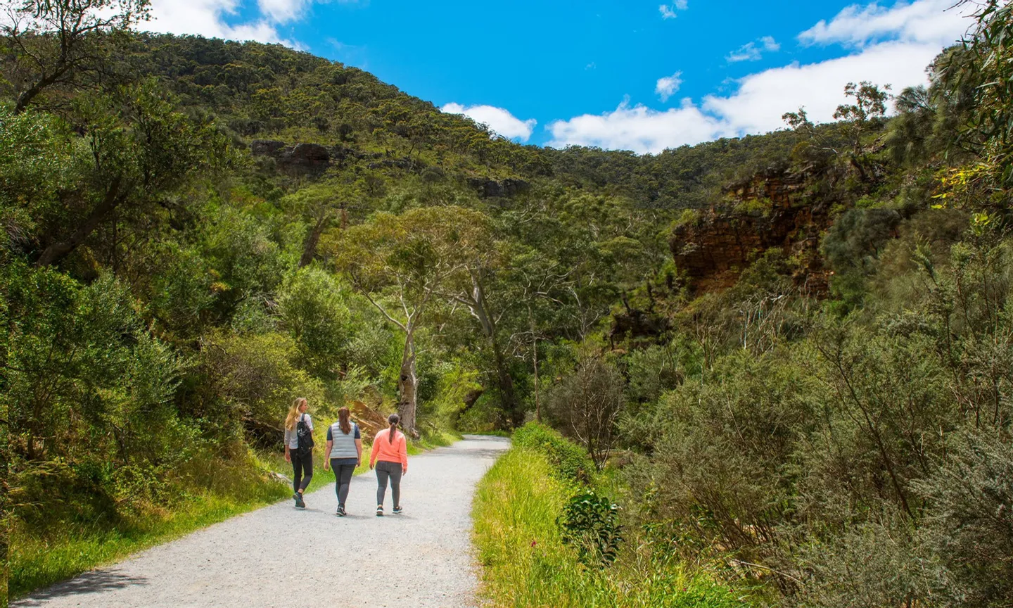 Morialta Wilderness and Wildlife Hike in Adelaide 6 Morialta Wilderness and Wildlife Hike in Adelaide
