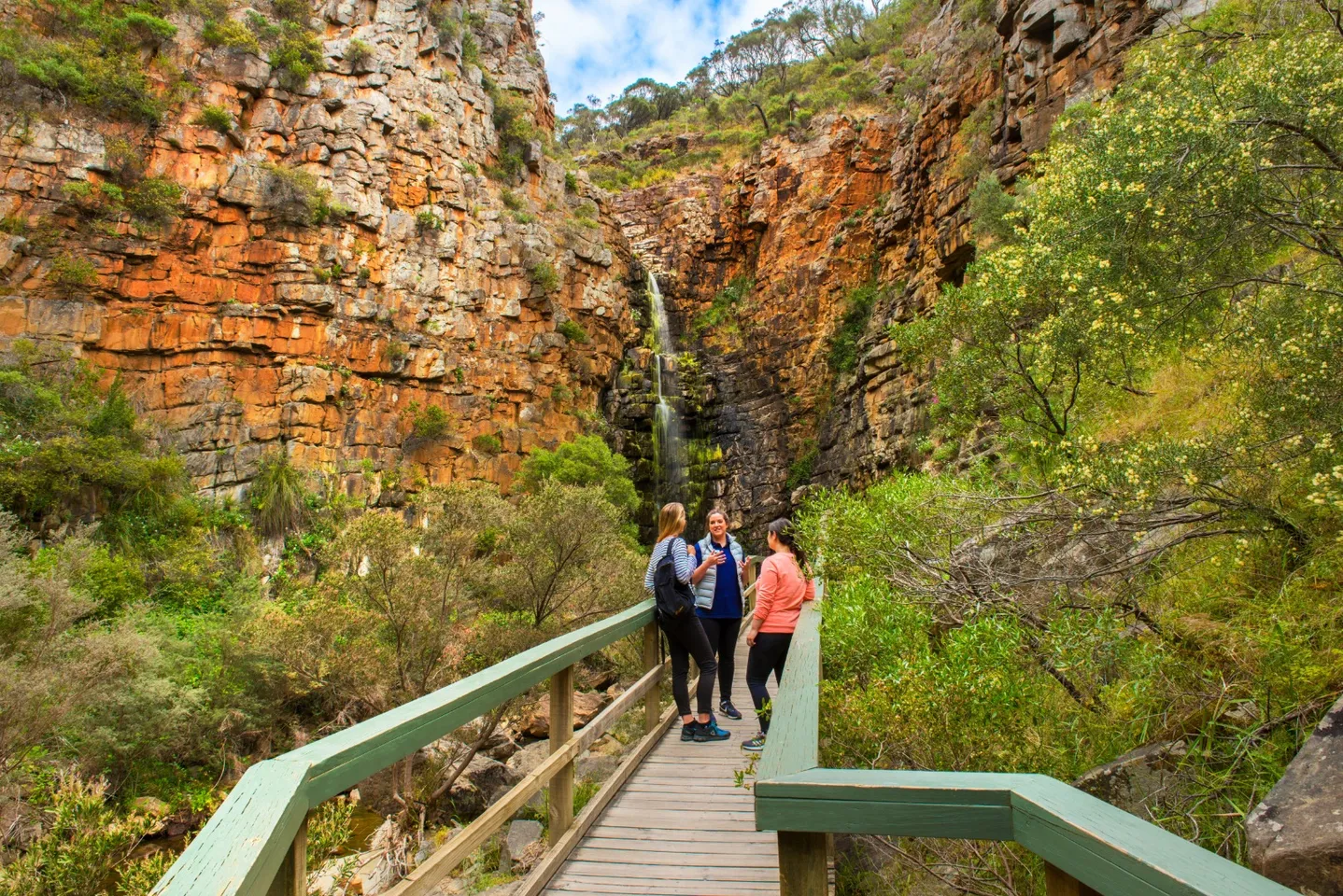 Morialta Wilderness and Wildlife Hike in Adelaide 7 Morialta Wilderness and Wildlife Hike in Adelaide