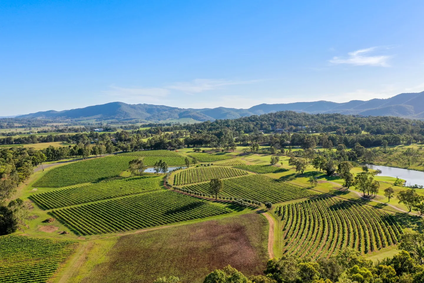 Brokenwood Wine Tasting in Hunter Valley 5 Brokenwood Wine Tasting in Hunter Valley