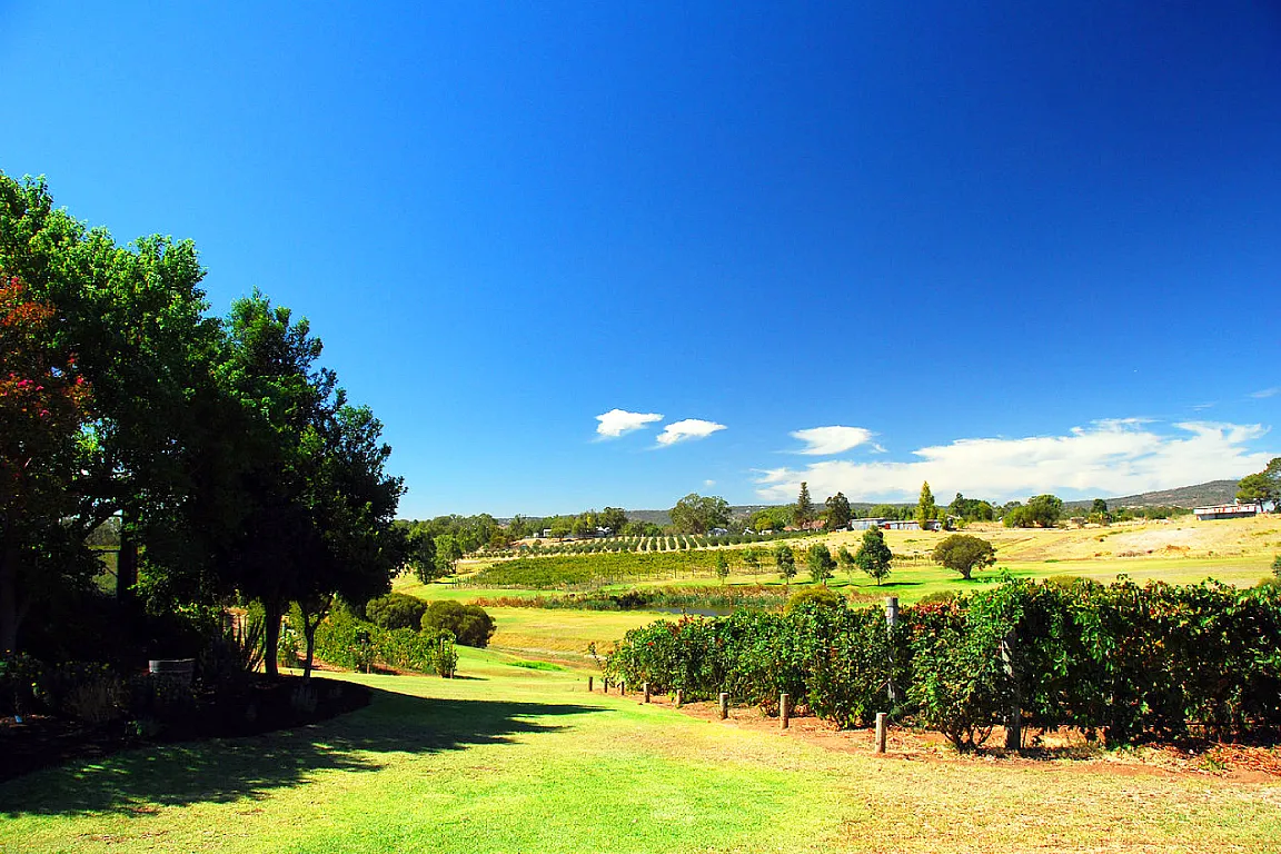 Swan Valley Full-Day Tour with Indulgence Cruise and Wine and Chocolate Tasting