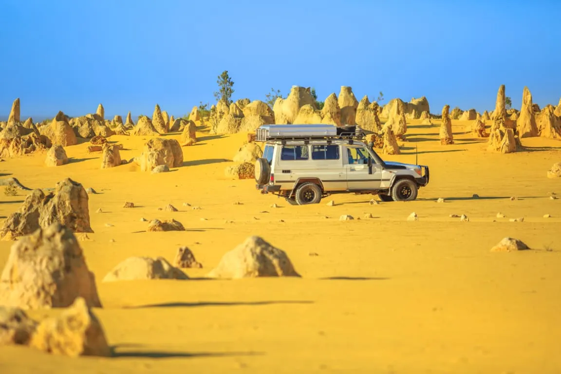 Pinnacles Desert and New Norcia Tour from Perth