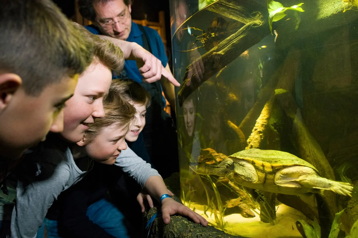 SEA LIFE Munich Aquarium Ticket