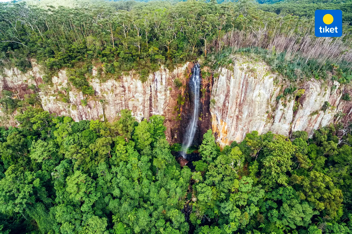 Springbrook National Park Tour: Natural Bridge and Waterfalls