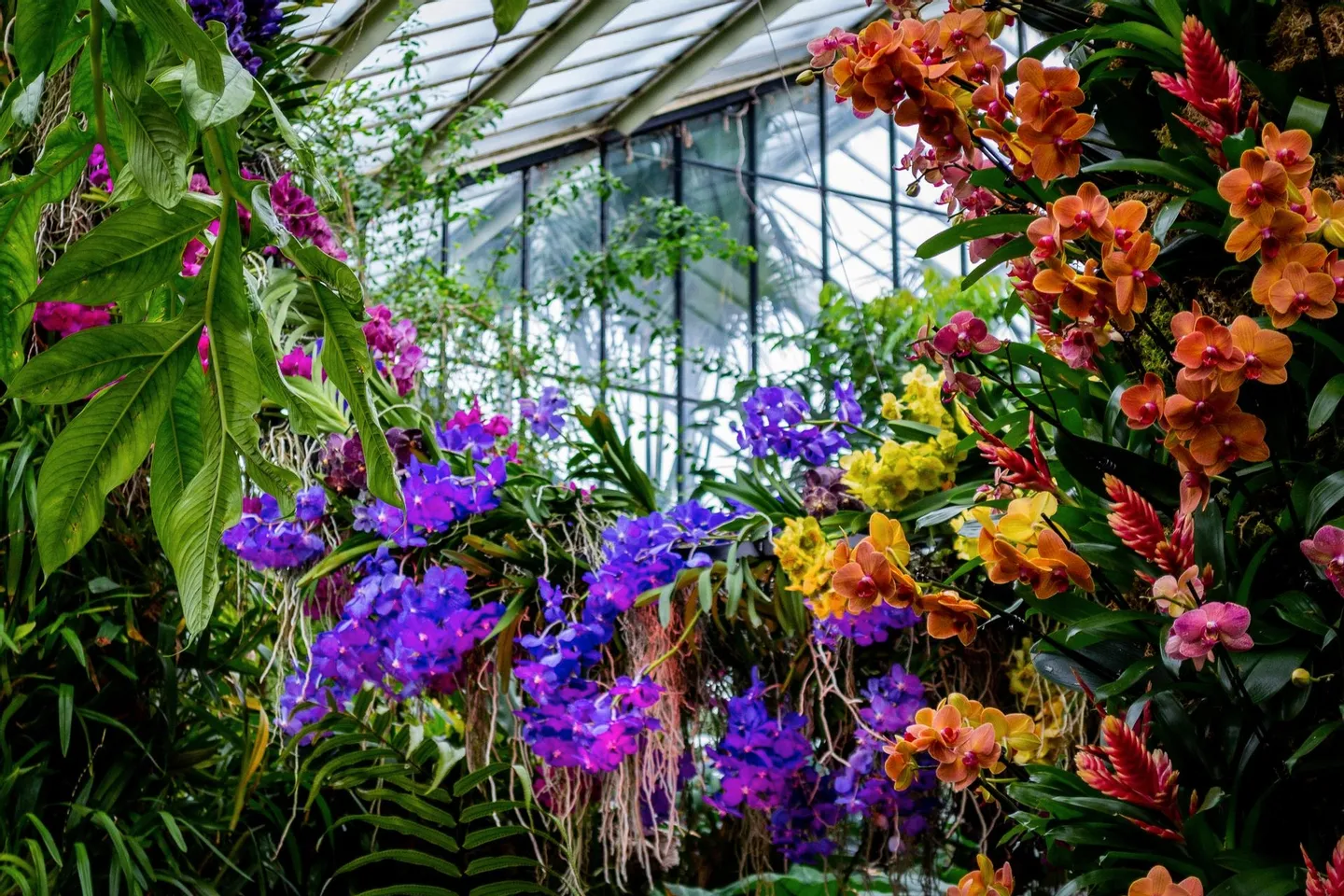 Kew Gardens