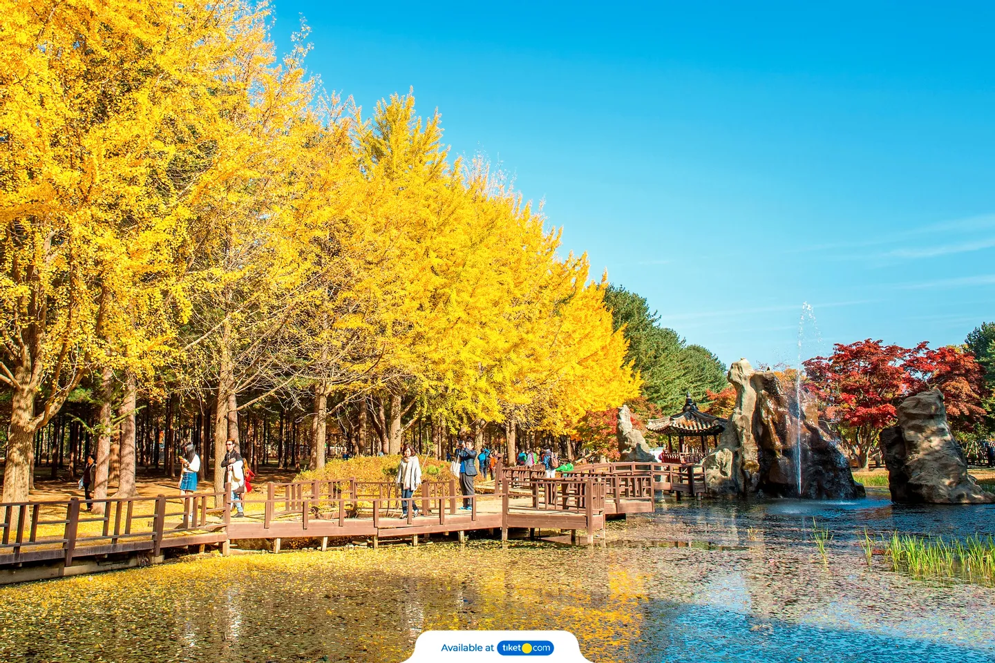 Nami Island, Petite France, Italian Village, and Garden of Morning Calm Tour from Seoul