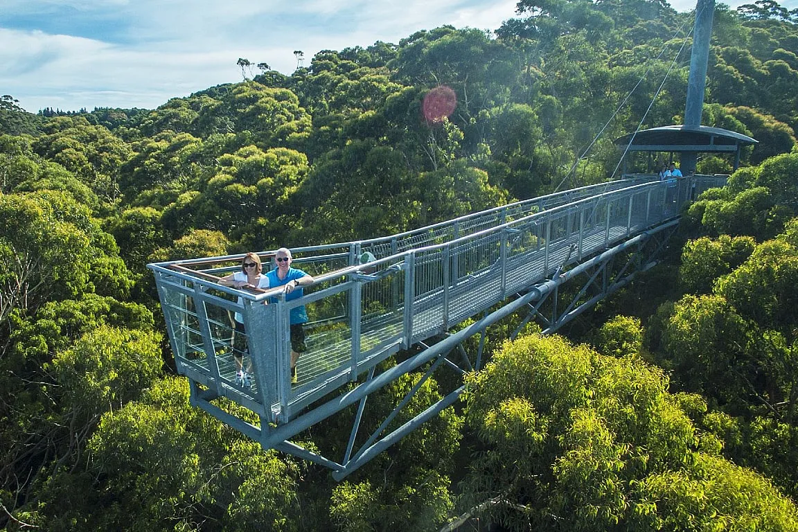 Illawarra Fly Treetops Walk Entry Ticket