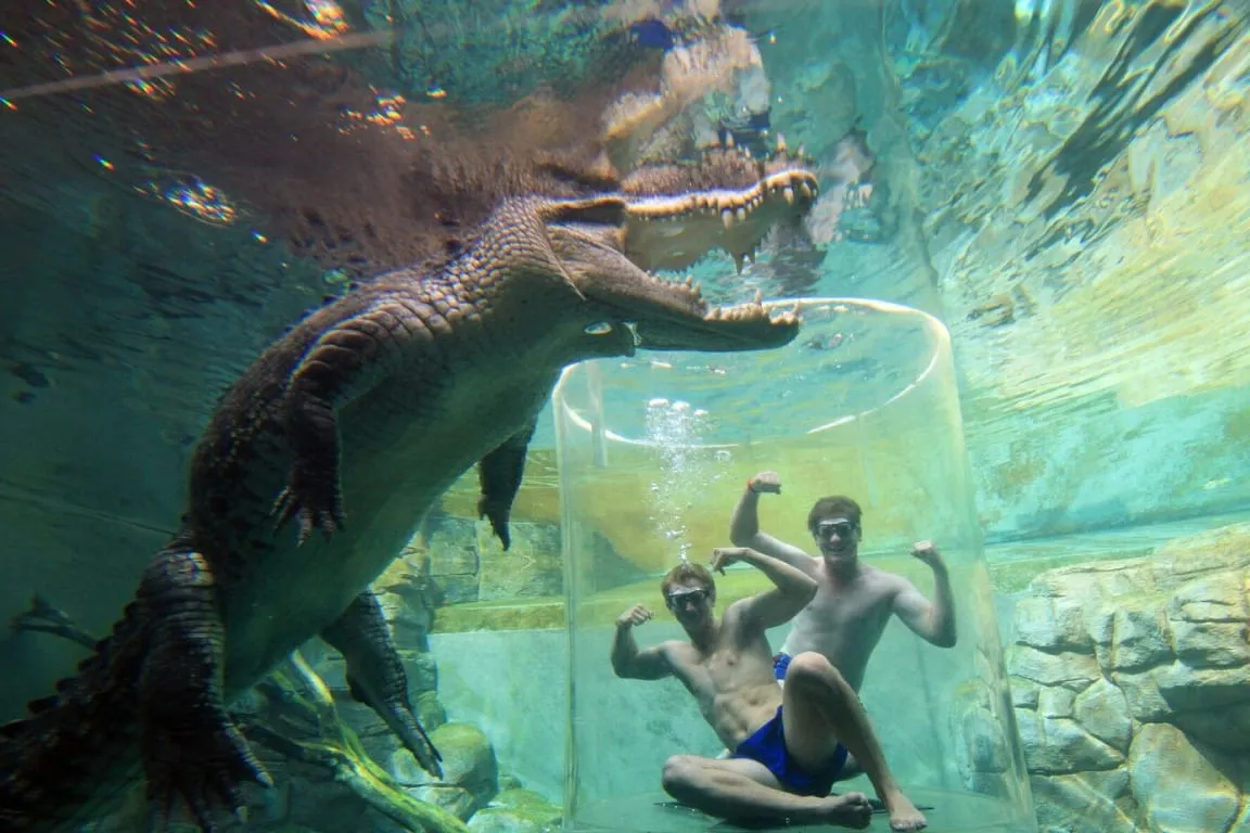Crocosaurus Cove Ticket