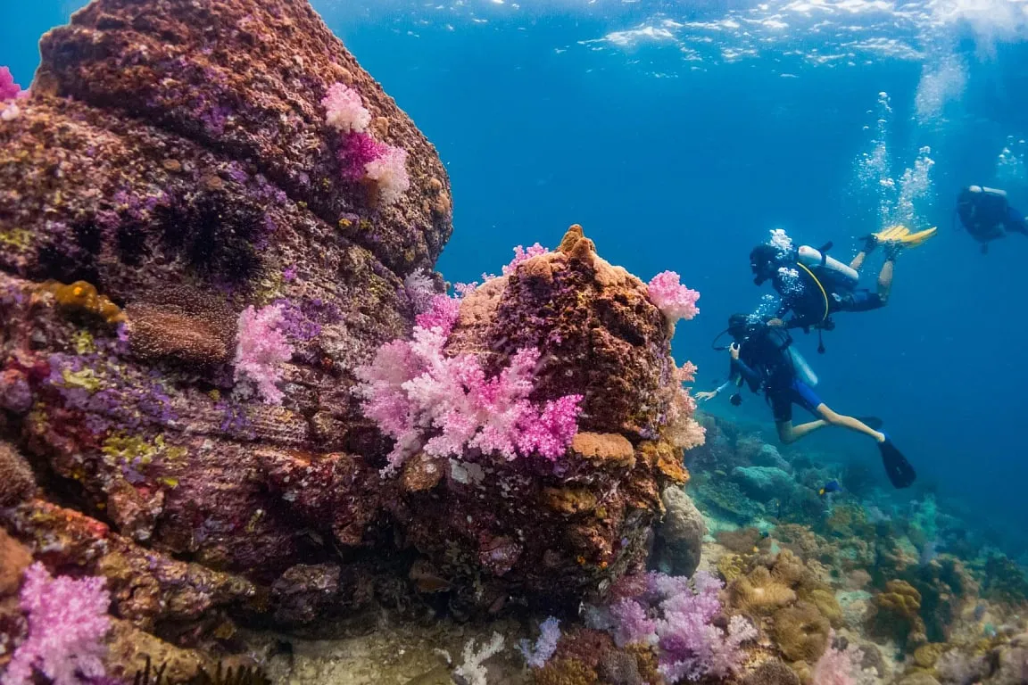 Koh Lipe Full Day Scuba Diving
