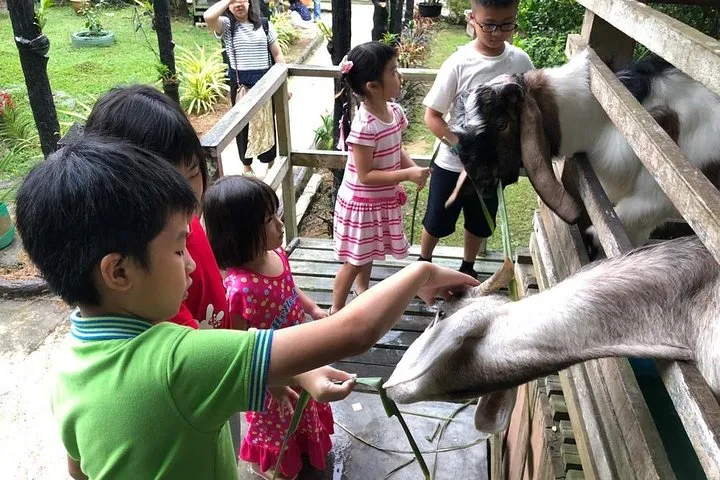 Johor Tour ends in Singapore - Southernmost Tip, Eco Farm, Go Kart [Car]