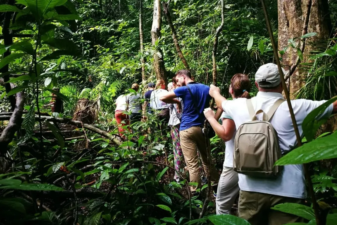 Morning Rainforest Trek in Langkawi