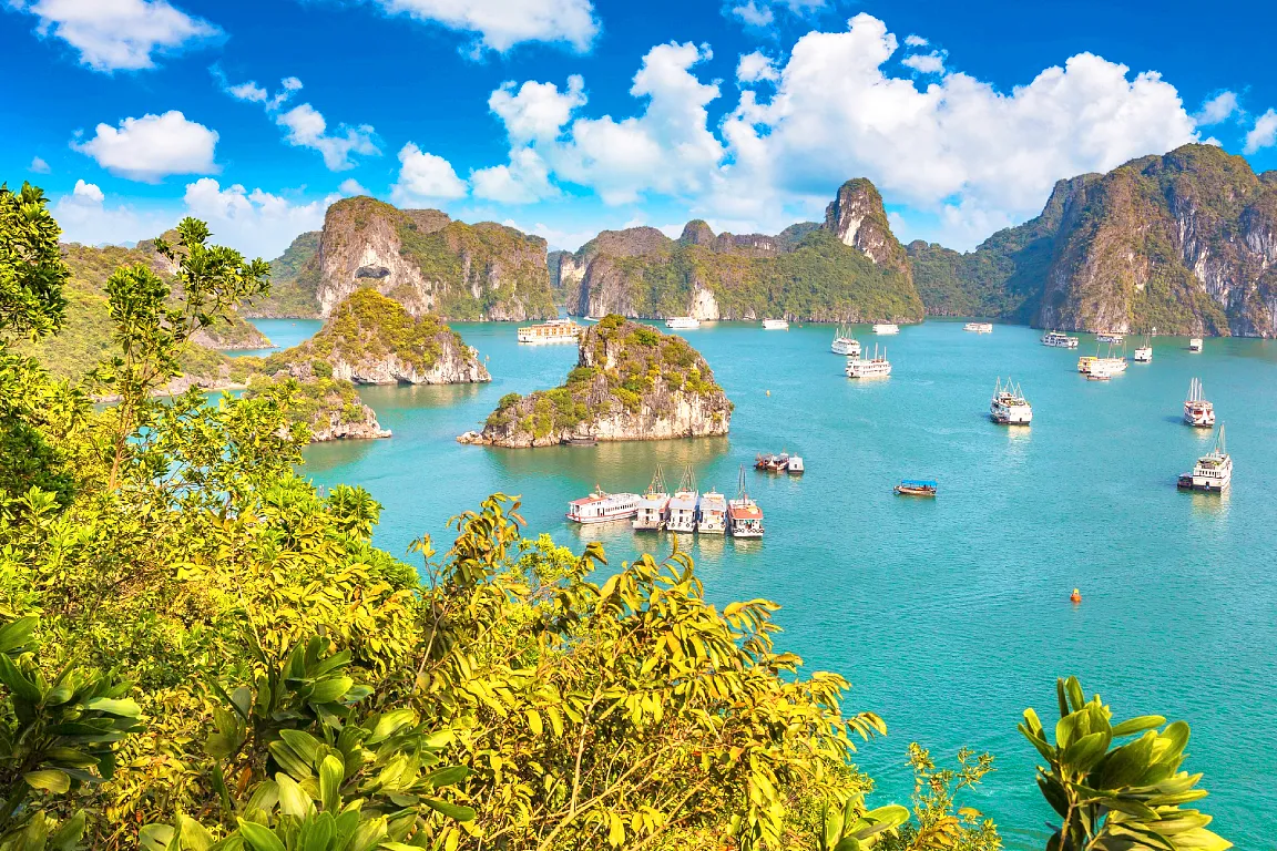 Reina Day Cruise: Ha Long Bay with Sung Sot and Ti Top