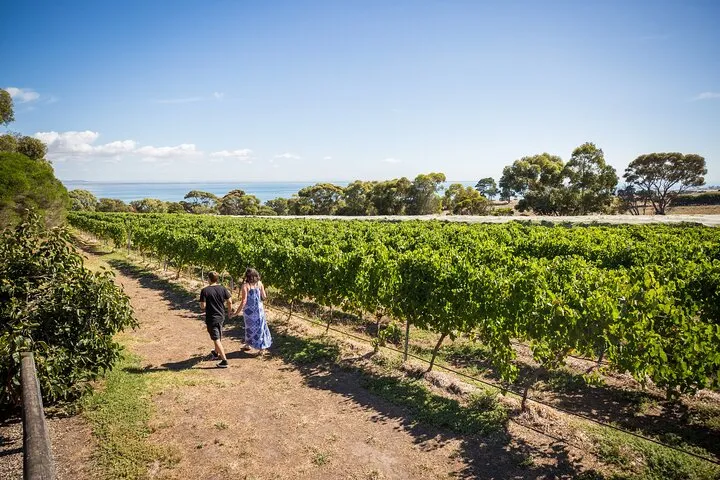 Hop On Hop Off Bellarine - includes Docklands Ferry Departure 6 Hop On Hop Off Bellarine - includes Docklands Ferry Departure