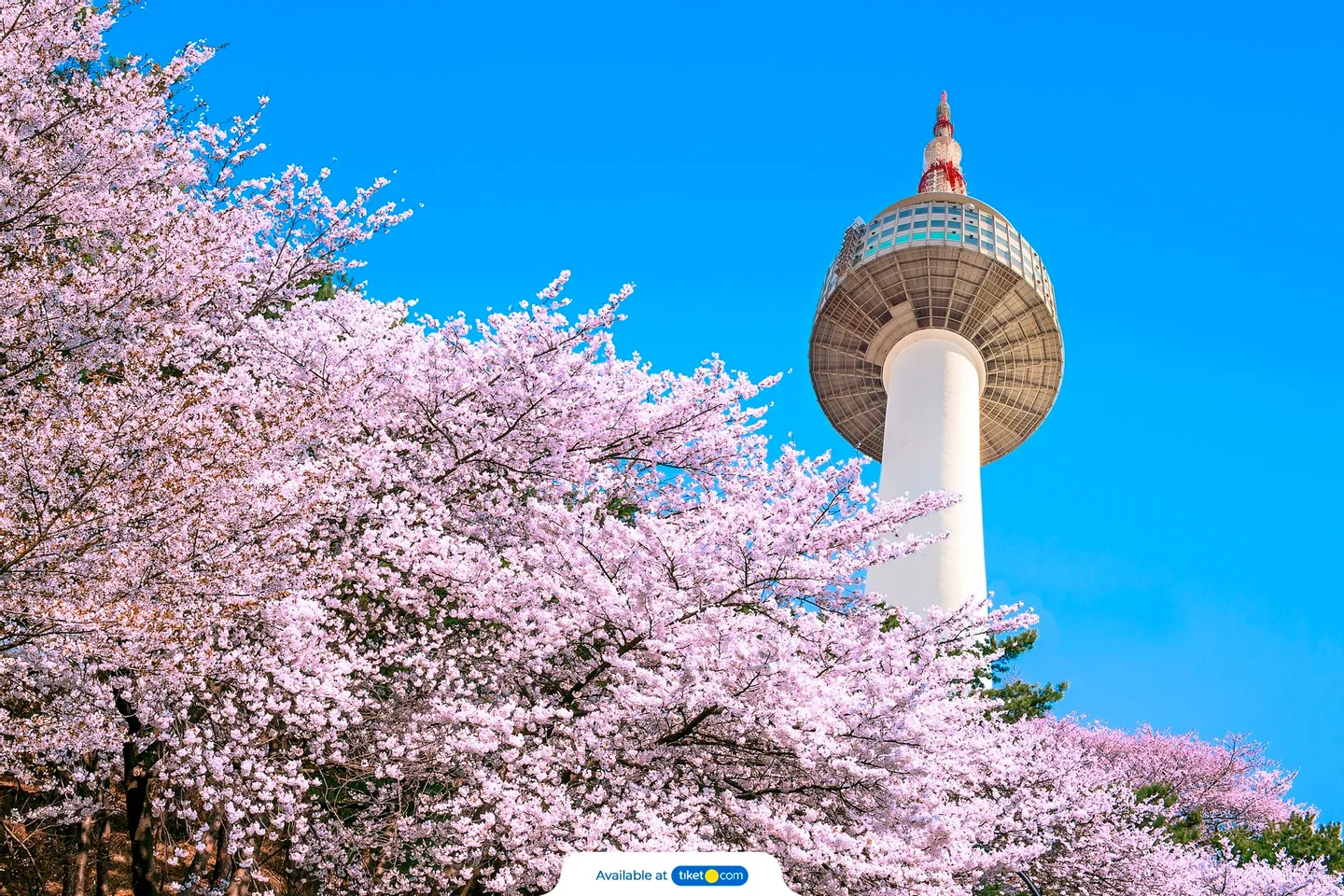 N Seoul Tower Ticket