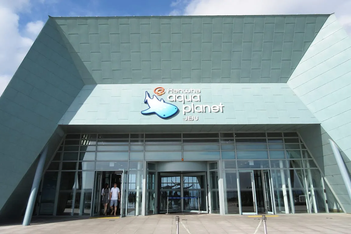 Aqua Planet Jeju Aquarium Ticket