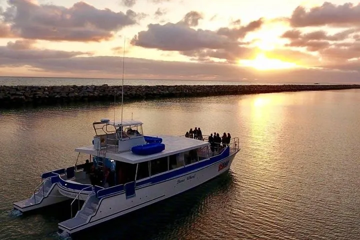 Luxury Catamaran Sunset and Wine Cruise from Dana Point 5 Luxury Catamaran Sunset and Wine Cruise from Dana Point