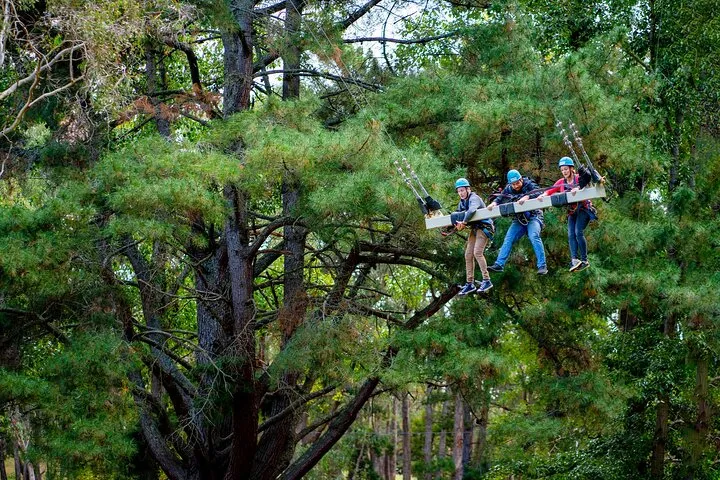 Rock Climb, Zipline and Mega Swing Experience 6 Rock Climb, Zipline and Mega Swing Experience