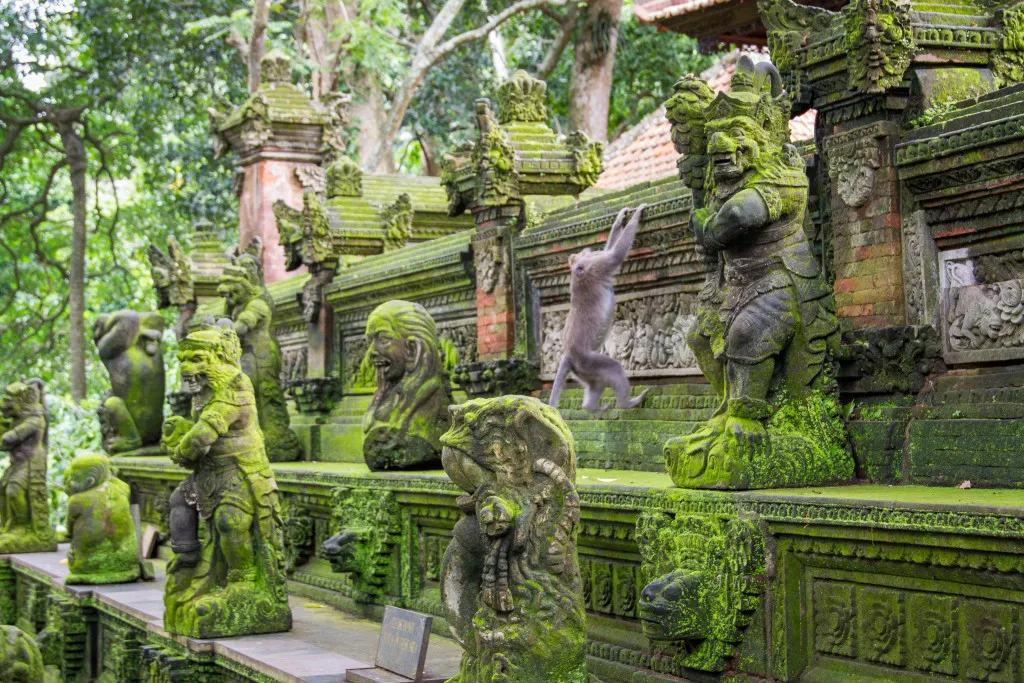 Central Bali All-You-Can-See Tour: Waterfall, Elephant Cave, Tirta Empul, Tegalalang Rice Terrace & Sacred Monkey Forest 7 Central Bali All-You-Can-See Tour: Waterfall, Elephant Cave, Tirta Empul, Tegalalang Rice Terrace & Sacred Monkey Forest