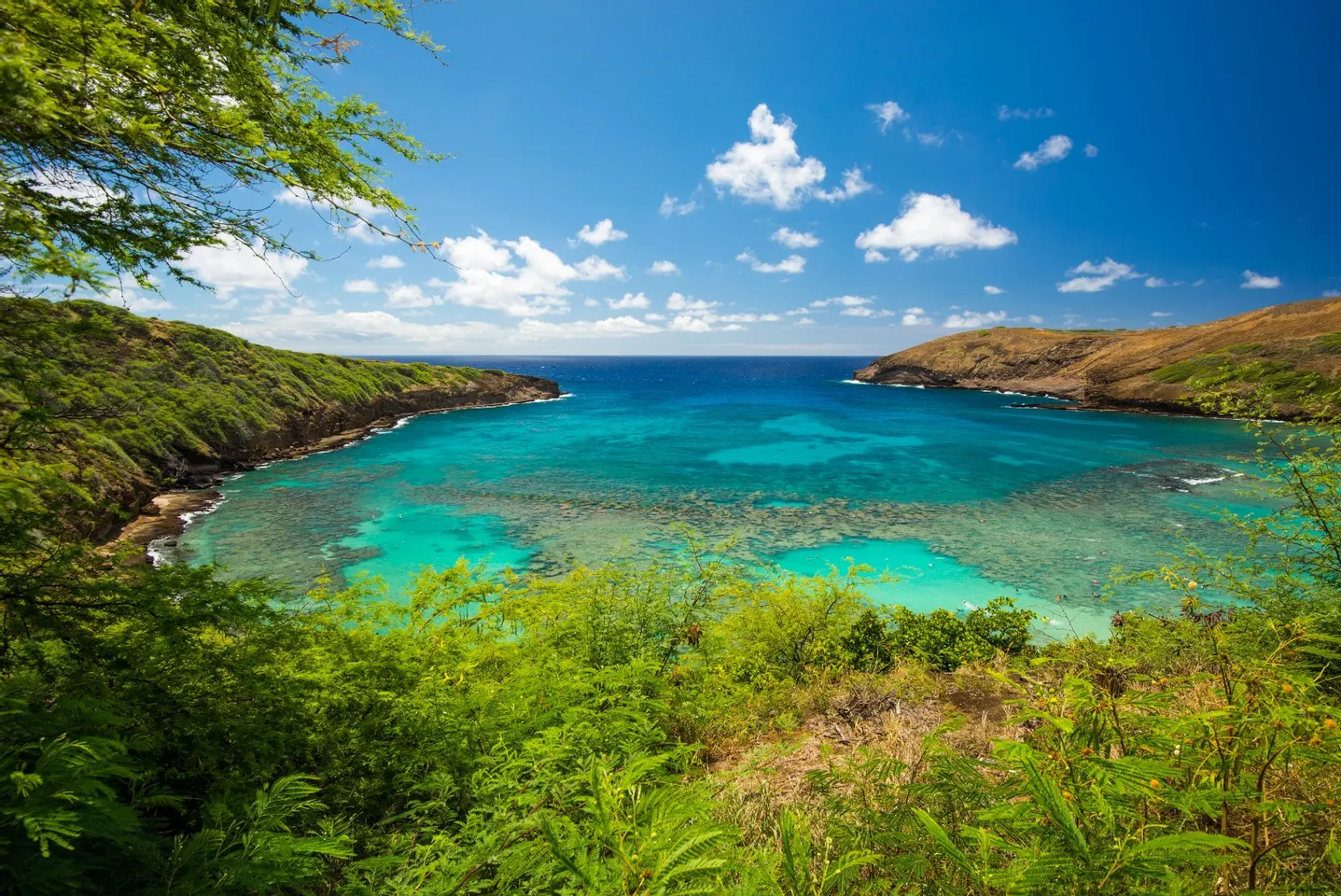 Beautiful Colors of Hawaii Photography Tour in O'ahu 4 Beautiful Colors of Hawaii Photography Tour in O'ahu
