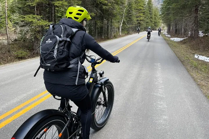 Full-Day E-Bike Rental in Flathead Valley 3 Full-Day E-Bike Rental in Flathead Valley