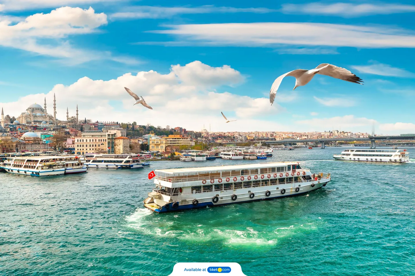 Istanbul Sightseeing Tour, Dolmabahce Palace and Bosphorus Cruise