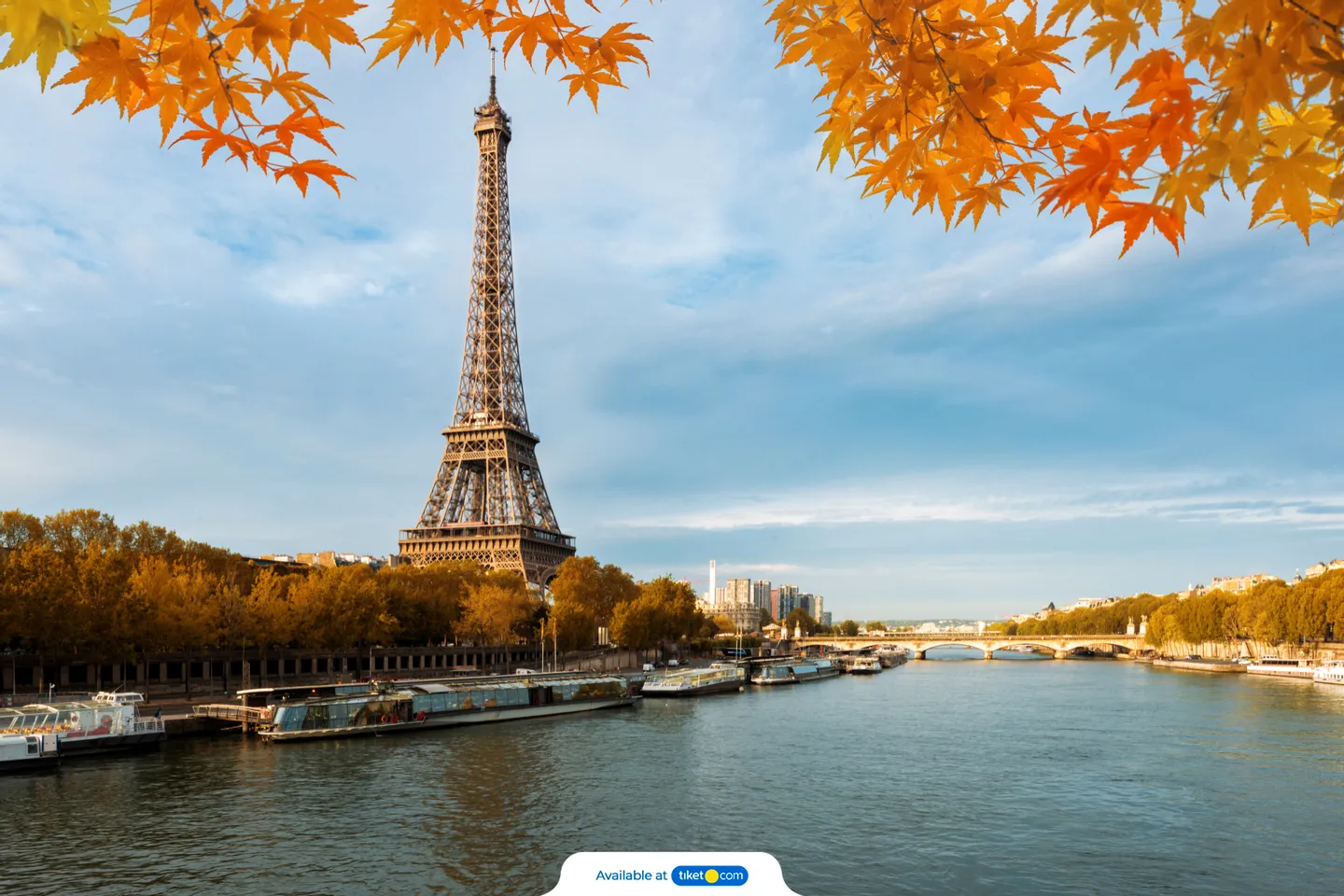 Eiffel Tower Reserved Access Tickets with Optional Summit