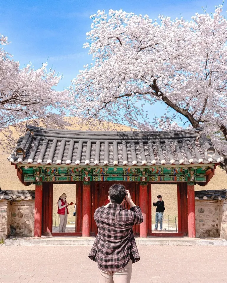 Gyeongju The Old Capital of Korea One Day Tour from Busan 5 Gyeongju The Old Capital of Korea One Day Tour from Busan