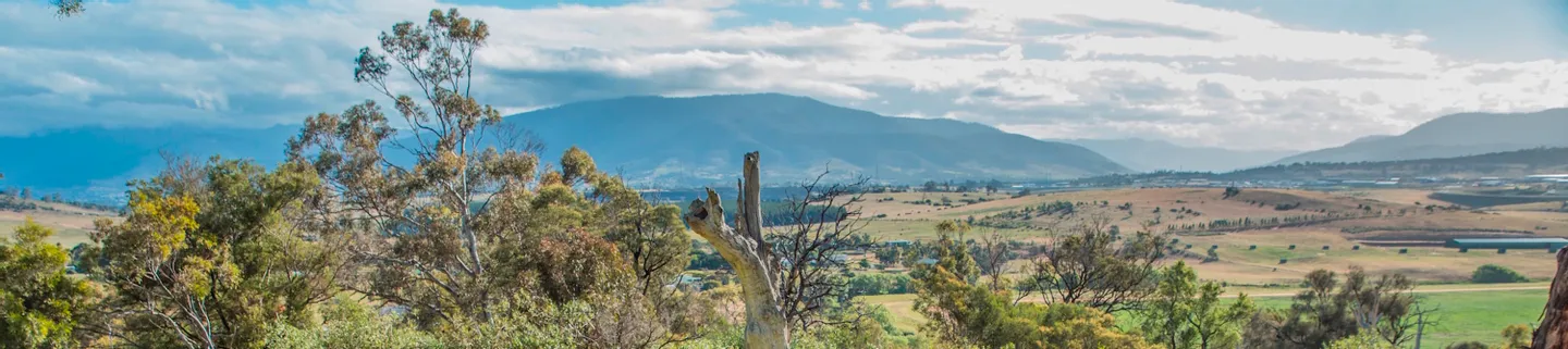 2D Hobart & Bruny Island Sightseeing Tour from Tasmania