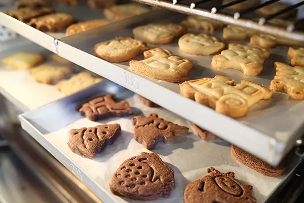 DIY Experience at Taiwan You Good School of Cookie
