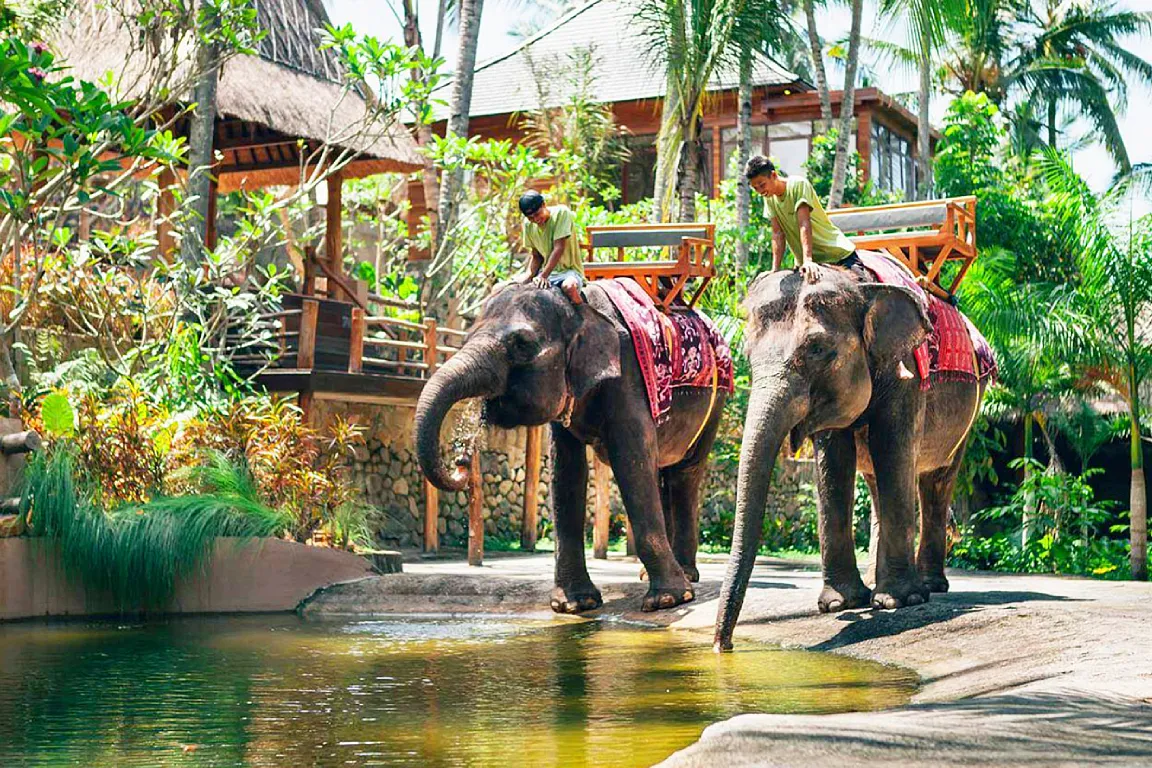 Lombok Wildlife Park Ticket (For Domestic Travellers ID Card and KITAS Card Holders)
