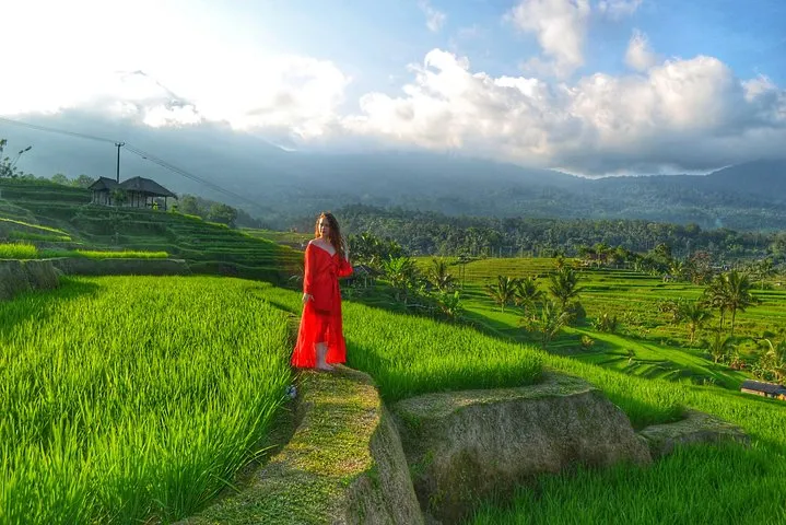 North Bali Waterfall and Ulundanu Temple Tours