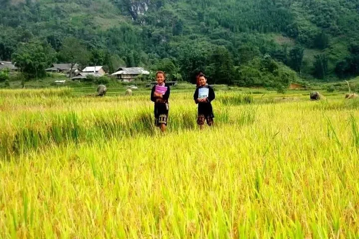 Fansipan Peak -the Roof Of Indochina (2 Days 1 Night By Bus) 5 Sapa Overnight Tour From Hanoi By Bus (2 days 1 night in hotel)
