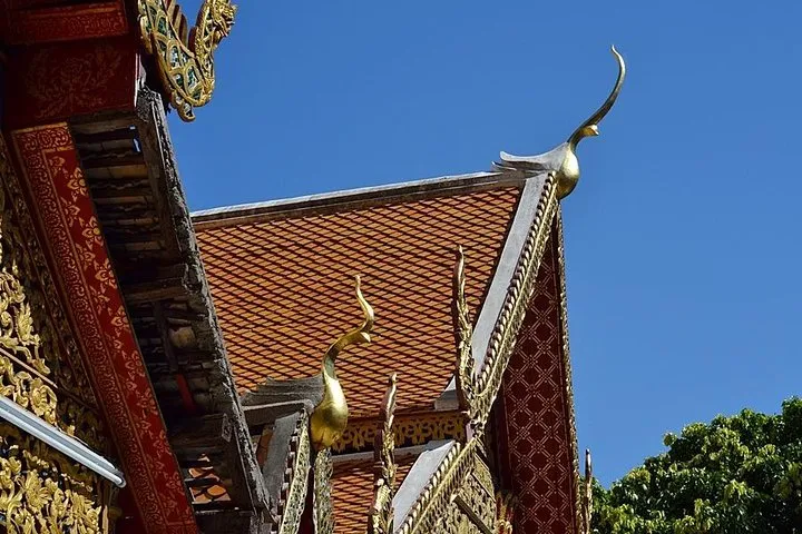 Hot! Doisuthep Temple+Wat Palad+Sticky waterfall