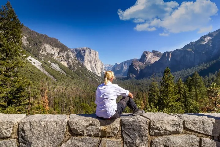 Yosemite National Park and Giant Sequoias Day Trip from San Francisco