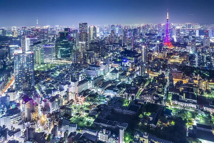 Tokyo Hippest Neighborhood Tour, Sangenjaya with a Local, Private Custom