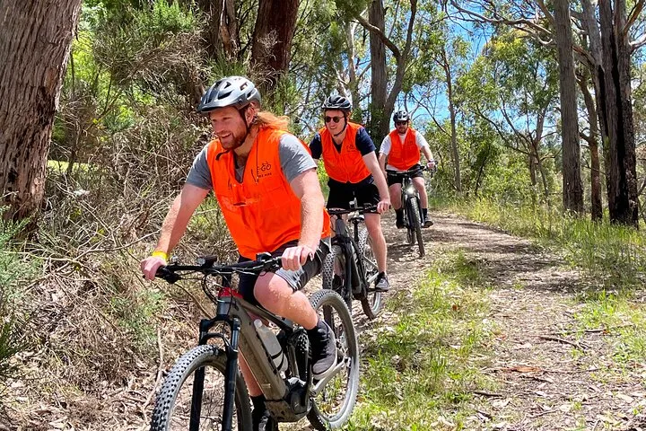 Adelaide Hills full day E-Bike Hire