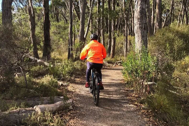 Adelaide Hills full day E-Bike Hire 7 Adelaide Hills full day E-Bike Hire