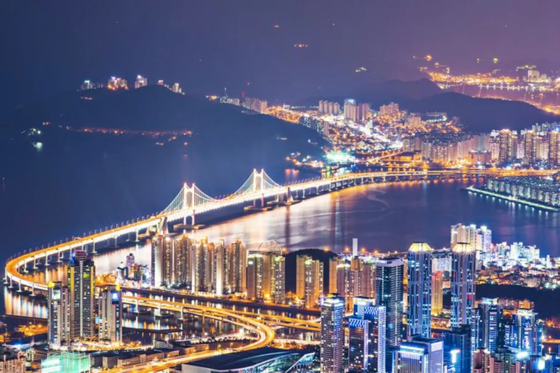 Busan by Night