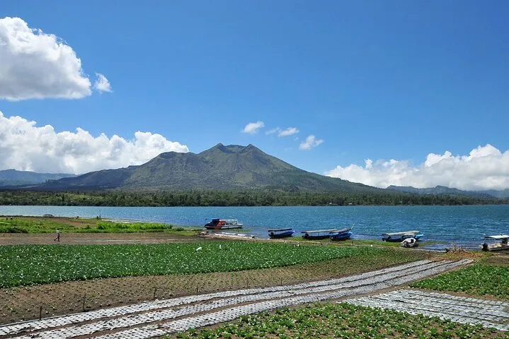 Kintamani Lake & Volcano Tour