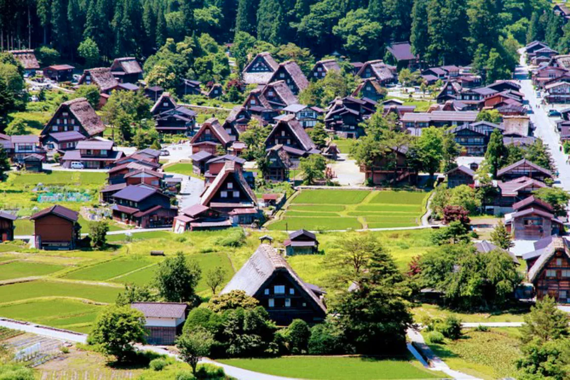 Private Tour Kanazawa, Shirakawago, Hida Furukawa,Takayama 3 Private Tour Kanazawa, Shirakawago, Hida Furukawa,Takayama