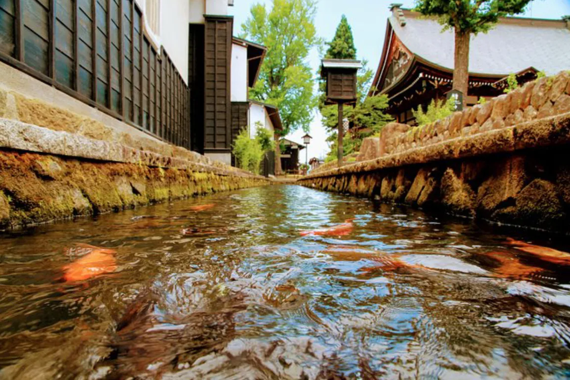 Private Tour Kanazawa, Shirakawago, Hida Furukawa,Takayama 6 Private Tour Kanazawa, Shirakawago, Hida Furukawa,Takayama