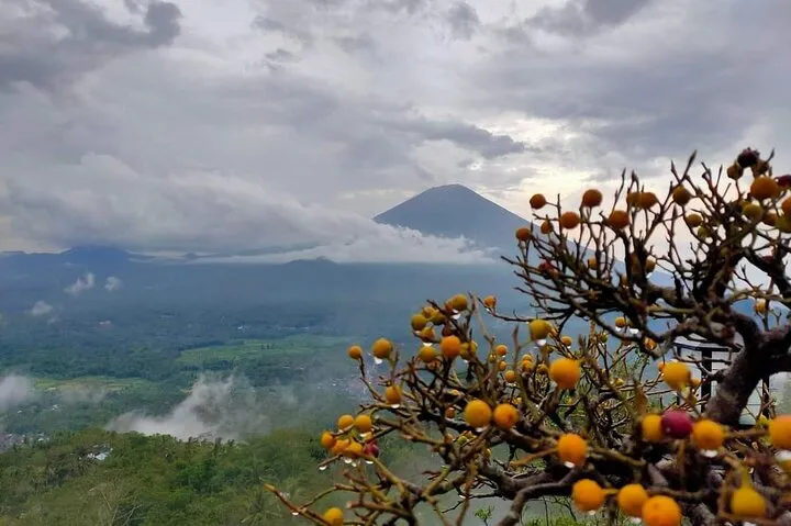 Bali Instagram Tour- Most Scenic Spots in Bali 6 Bali Instagram Tour- Most Scenic Spots in Bali