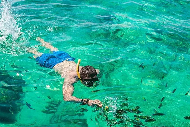 Premium Tour to Phi Phi & Bamboo Island Tours by Speed boat 3 Premium Tour to Phi Phi & Bamboo Island Tours by Speed boat