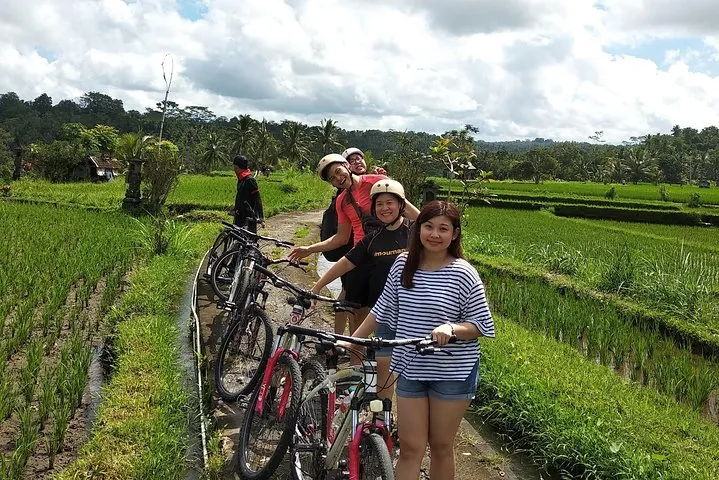 Ubud Cycling Tour