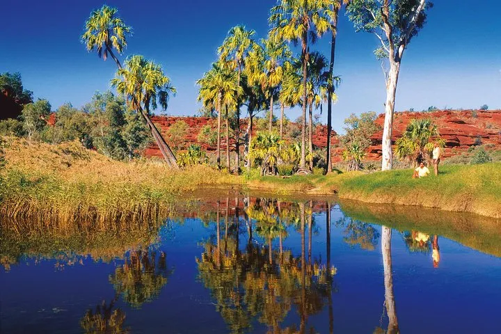 Palm Valley 4WD Tour from Alice Springs