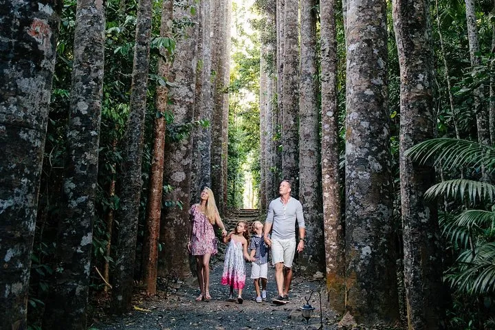 The Original Day Tour to Paronella Park, Lake Barrine and Millaa Millaa Falls